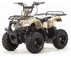 Квадроцикл MOTOLAND (МОТОЛЕНД) 110 RIDER