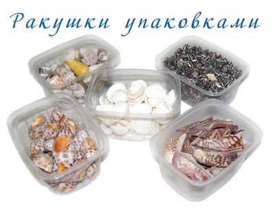 Ракушки упаковками 100гр