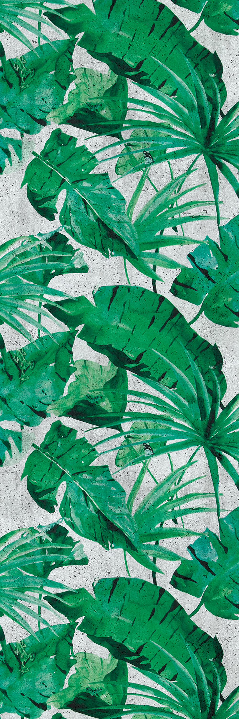 Коллекция Тропическое