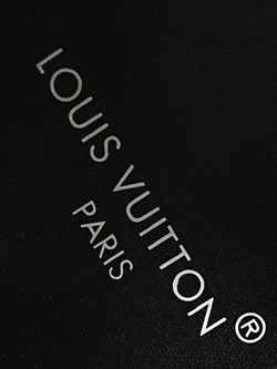 Louis Vuitton Run 55 Sneaker