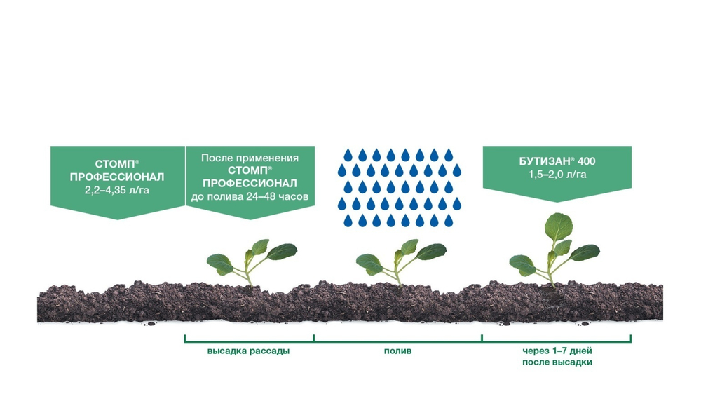 ГЕРБИЦИД Бутизан 400, КС (400 г/л)