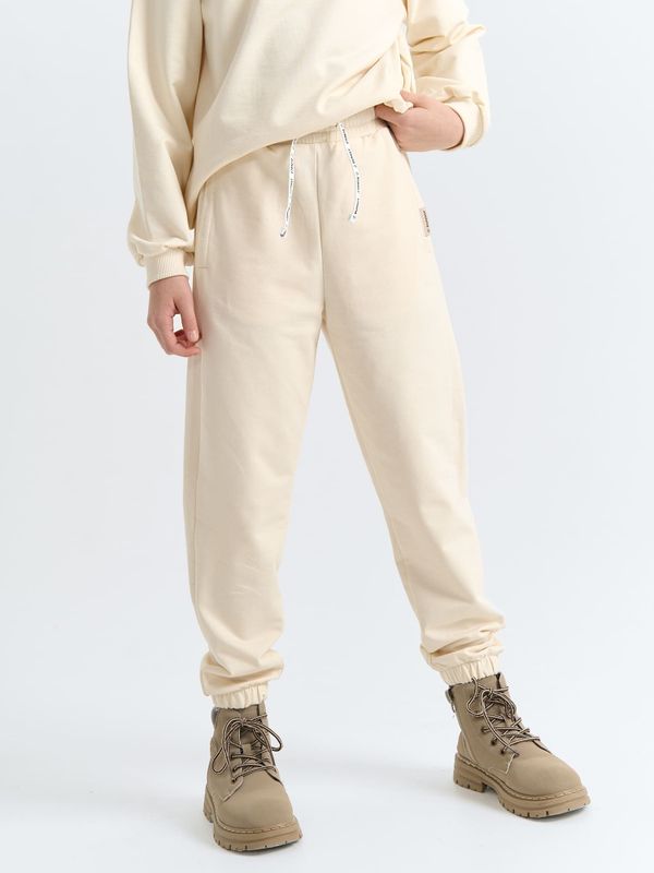 Джоггеры облегченные 