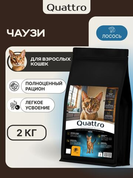 Корм сухой для взрослых кошек породы Чаузи, с лососем, 2 кг, QUATTRO