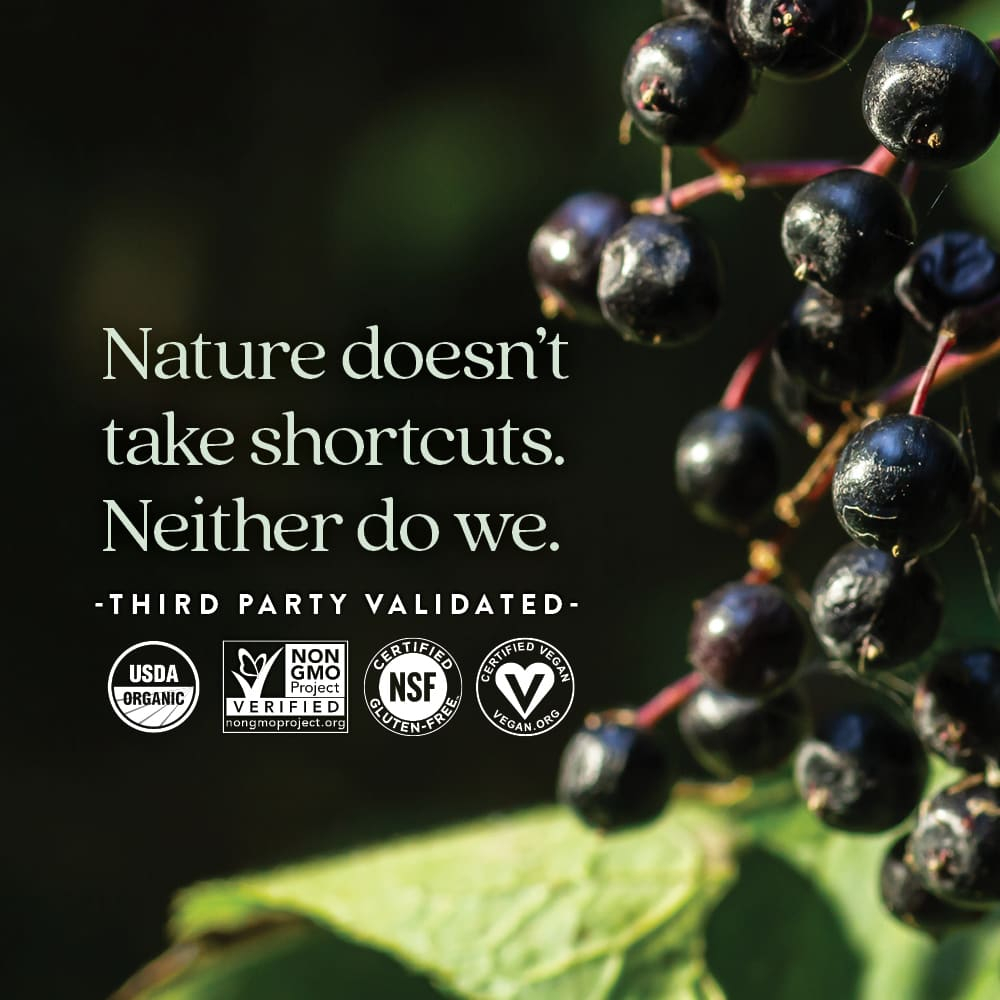 New Chapter, Органические жевательные мармеладки из цельных ягод, 60 веганских жевательных таблеток