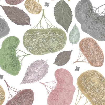 Гортензии на белом