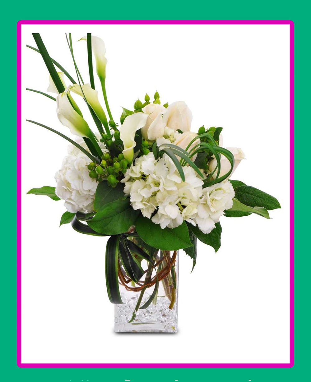 Свежее сияние