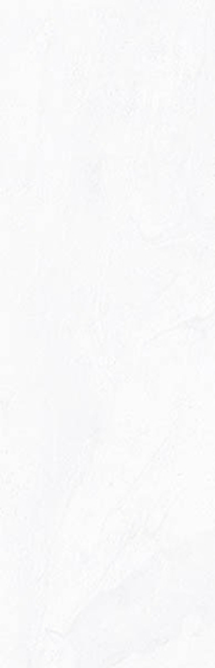 Настенная плитка Stravaganza-R Blanco