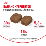 Royal Canin Dental Care Дентал Кэа Корм сухой для взрослых кошек поддержание здороья ротовой области 1,5кг