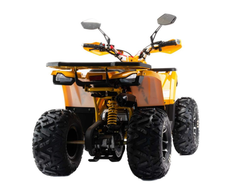 Квадроцикл MOTOLAND 125 WILD X PRO А