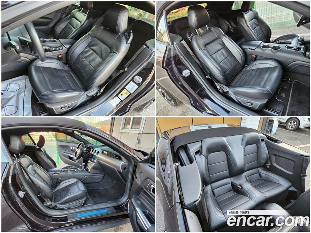 Ford Mustang Convertible (10.2022)
