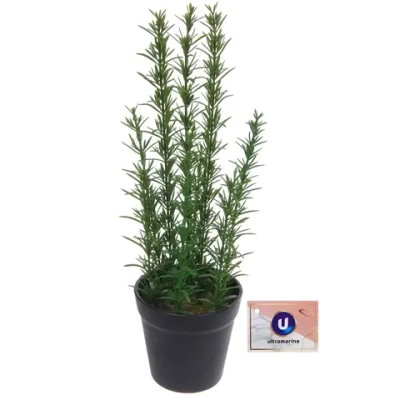 Цветок искусственный в горшке «Розмарин» 35см