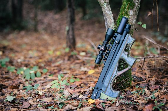 Пневматическая винтовка &quot;Леля&quot; от EDgun