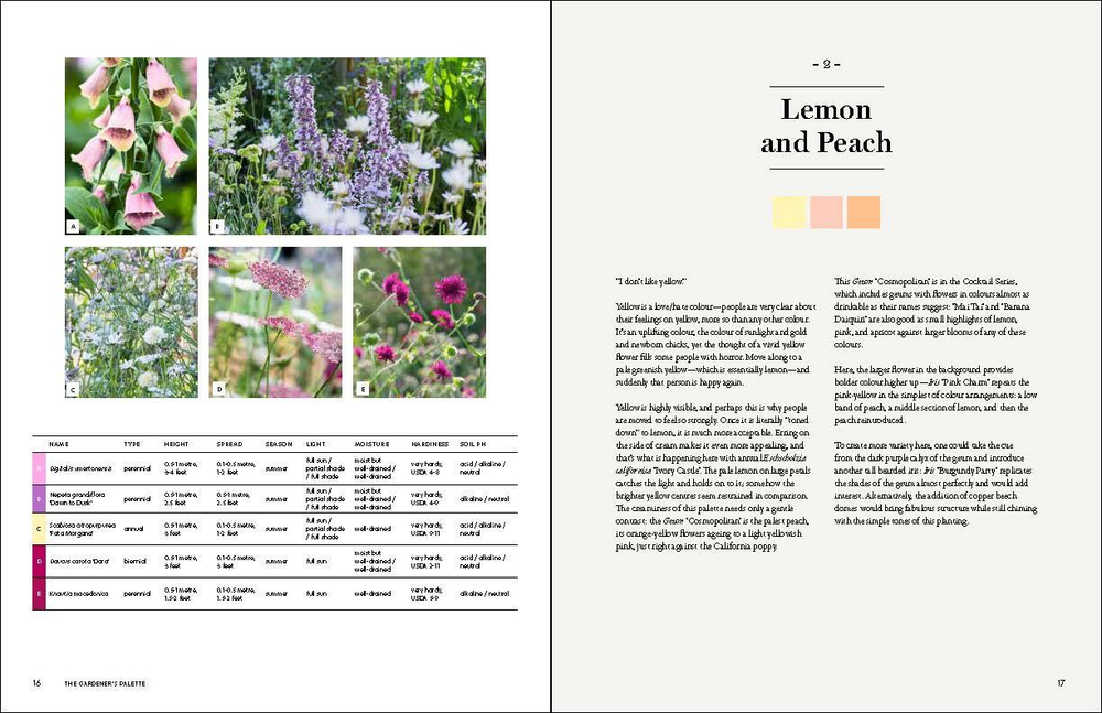 The Gardener`s Palette: Creating Colour Harmony in the Garden