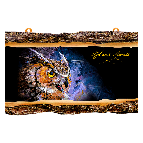 СОВА "Куку" (НАСТЕННАЯ)