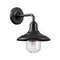 4965/1W NATURE ODL22 713 черный/стекло Ландшафтный настен.светильник E27 1*60W IP44 CAMPA