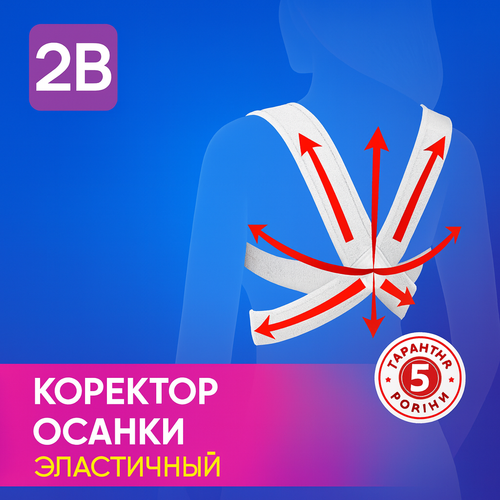 Корректор осанки (реклинатор) 2B 2014