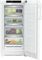Холодильник Liebherr RBa30 425i