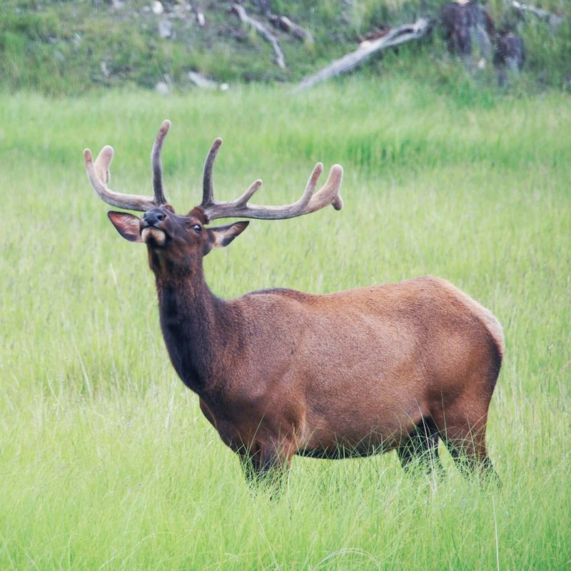 Баннер на главной 4