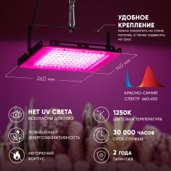 Фитопрожектор для растений светодиодный ЭРА FITO-80W-RB-LED-Y красно-синего спектра | Фито прожекторы