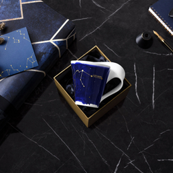 Villeroy & Boch Кружка NewWave Stars 300 мл Водолей 10-1616-5811