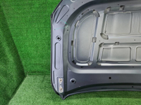Капот Geely Tugella (2019-н.в.)