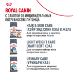 Royal Canin Hairball Care Корм сухой для взрослых кошек 10кг