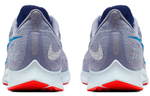 Кроссовки Nike Pegasus 36 Jdi