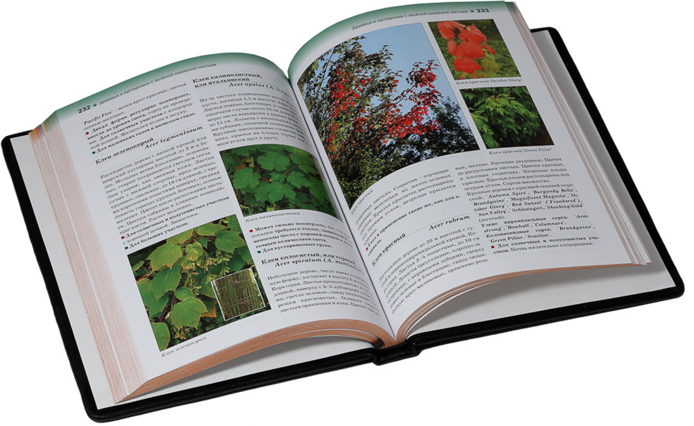Атлас декоративных деревьев и кустарников