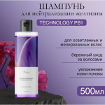 Mariee la cosmetique Шампунь для волос оттенка блонд и мелированных брюнеток, 500мл