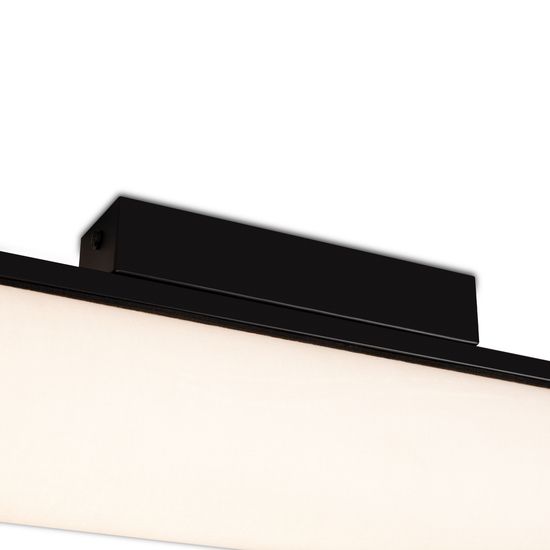 Потолочный светильник Freya FR5625CL-L20B