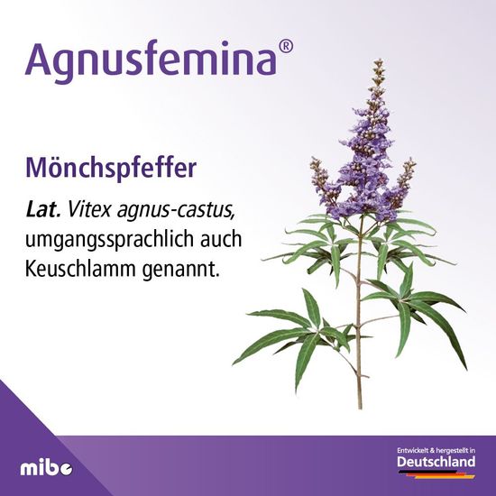 Agnusfemina – натуральная помощь при проблемах с менструальным циклом