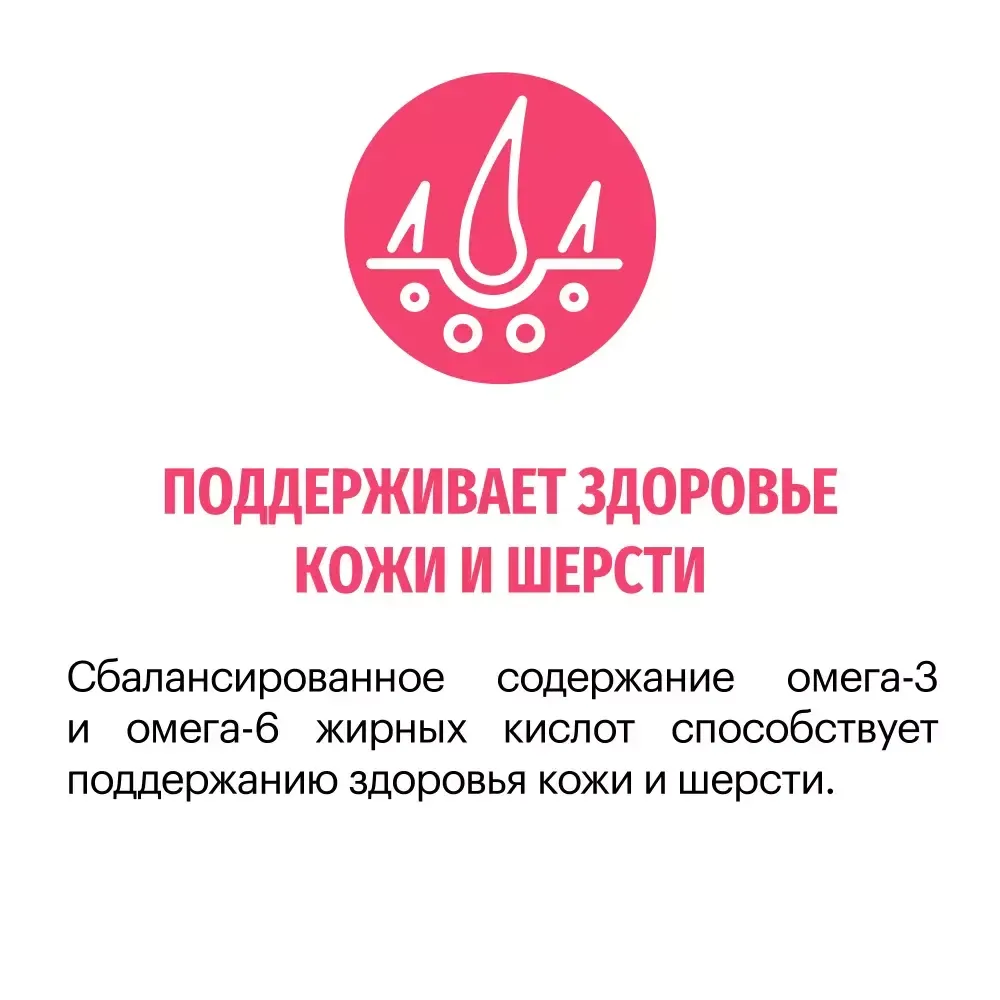 Сухой корм Karmy Sensitive Mini для взрослых собак мелких пород с чувствительным пищеварением, с лососем Сухой корм Karmy Sensitive Mini для взрослых собак мелких пород с чувствительным пищеварением, с лососем