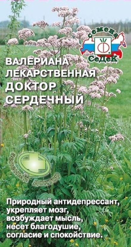 Валериана лекарственная Доктор Сердечный
