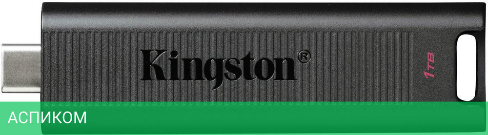 USB Flash-накопитель Kingston DataTraveler Max 1TB черный (DTMAX/1TB)