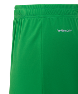 Шорты вратарские JOGEL NATIONAL PerFormDRY GK Shorts, зеленый