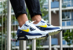 Кроссовки Nike Air Max 90 Essential Blue Recall