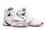 Кроссовки Nike Lebron 13 Friday The 13Th