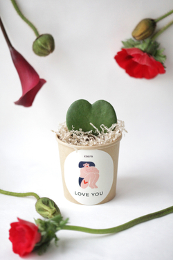 Живая валентинка в стаканчике