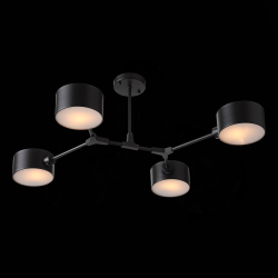 Cветильник потолочный Evoluce Gimento SLE183402-04