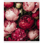 Тетрадь 48л., А5, клетка, Alingar "Нежные цветы", скрепка, мелованый картон ( стандарт), блок офсет, 5 дизайнов в пленке т/у