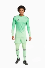 Леггинсы adidas Tiro 25 Pro Goalkeeper - зеленый