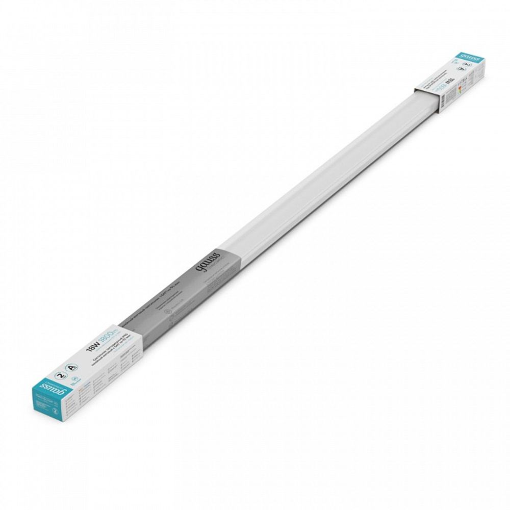 Накладной светильник Gauss  143424218A