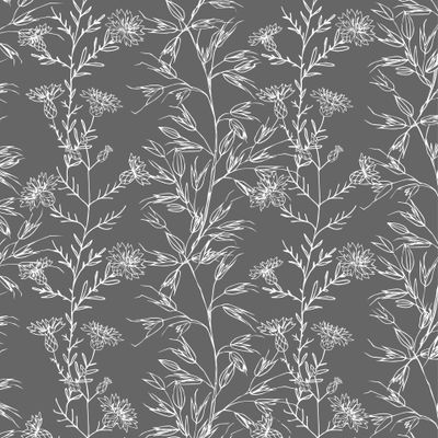 Белый контур васильки, овес и луговые травы