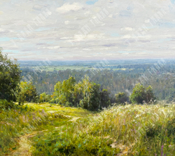 Плотников В.В. Родные просторы. Холст, масло. Россия, 2015 г.