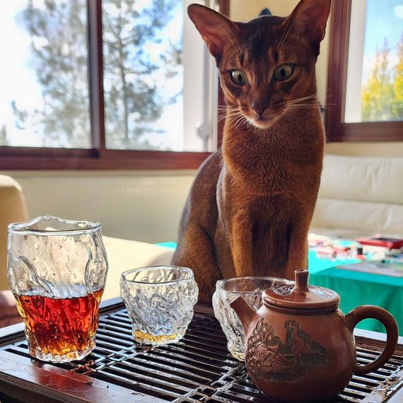 Пиала Мятое стекло, 135 мл