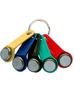 TM1990A iButton TS