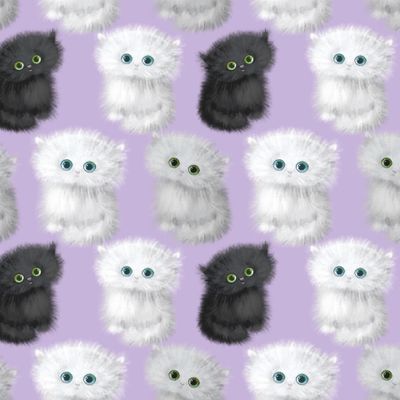 Котята
