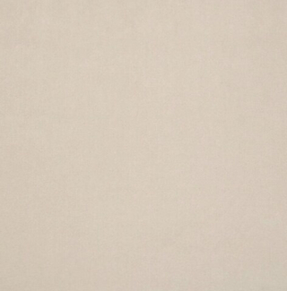 Микровелюр Бэст 10