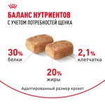 Royal Canin Chihuahua Puppy Корм сухой для щенков породы Чихуахуа до 8 месяцев 0,5 кг