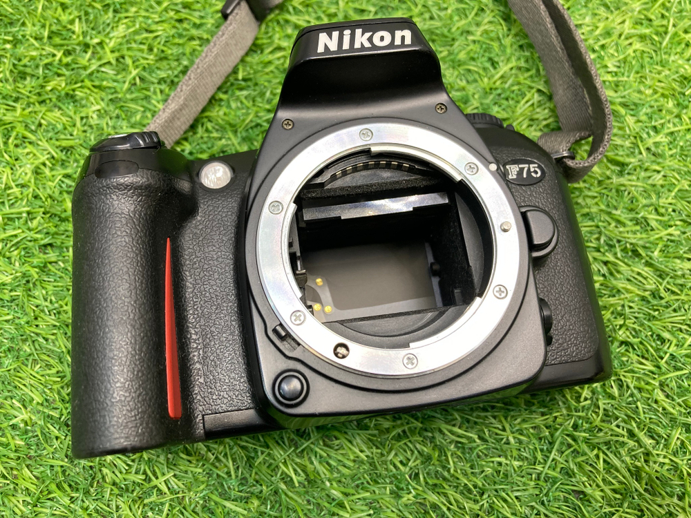 Nikon F75
